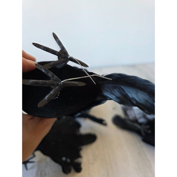 Greenbrier graveyard Crow Bird Halloween realistic prop feather decor - Picture 11 of 11
